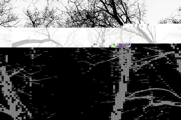 Beautiful Broken: Why Corrupted Pixels Are the New Canvas